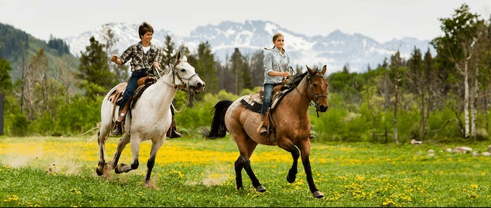 Confident plus-size woman riding Seacombe a horse through a field with a smile on her face.